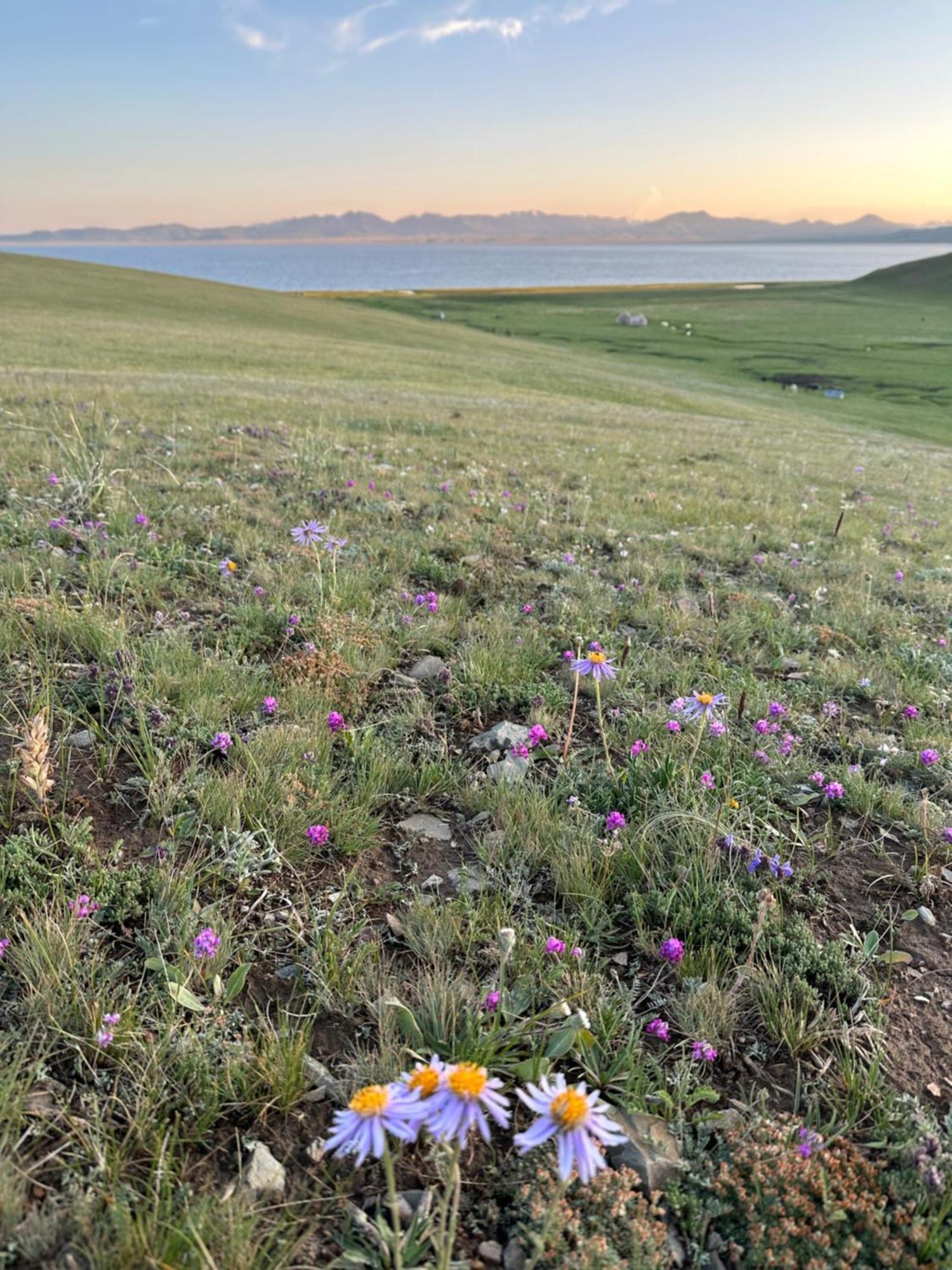 فندق Yurt Camp Azamat At Song Kol Lake Bagysh المظهر الخارجي الصورة